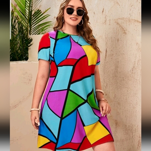 Flare Dress Multi color - Picture 2 of 2